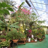 植物展示室