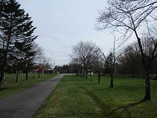 2025_4_30syunkoudai004.jpg