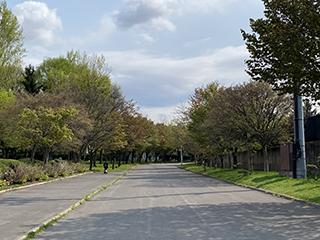 2025_5_13hanasaki001.jpg