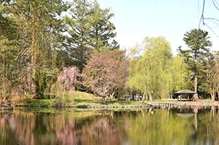 2025_5_9tokiwa004.jpg