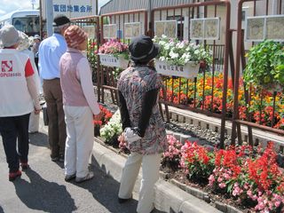 常磐公園花壇ボランティア_2013_08_29