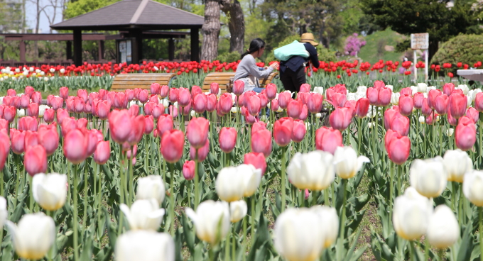 常磐公園ガーデンボランティア_2014_05_21