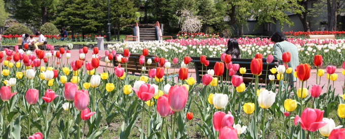 常磐公園ガーデンボランティア_2014_05_21