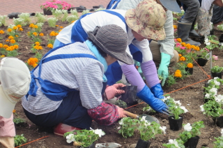 常磐公園ガーデンボランティア_2014_06_11