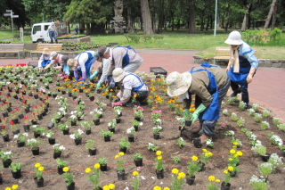 常磐公園ガーデンボランティア_2014_06_11