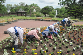 常磐公園ガーデンボランティア_2014_06_11