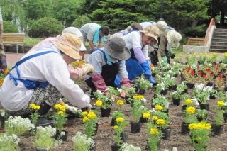 常磐公園ガーデンボランティア_2014_06_11