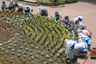 常磐公園ガーデンボランティア_2014_06_11