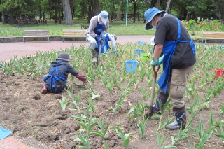 常磐公園ガーデンボランティア_2014_06_10