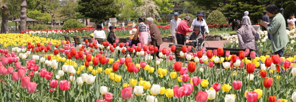 常磐公園ガーデンボランティア_2014_06_10