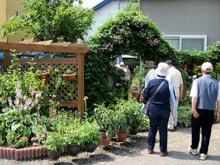 常磐公園ガーデンボランティア_2014_07_30