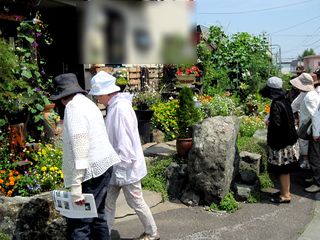 常磐公園ガーデンボランティア_2014_07_30