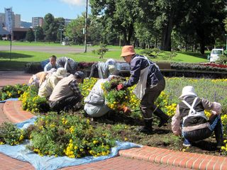 常磐公園ガーデンボランティア_2013_09_26