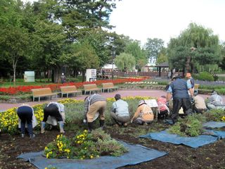 常磐公園ガーデンボランティア_2013_09_26