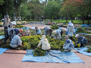 常磐公園ガーデンボランティア_2013_09_26