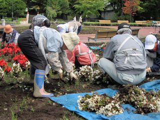 常磐公園ガーデンボランティア_2013_09_26