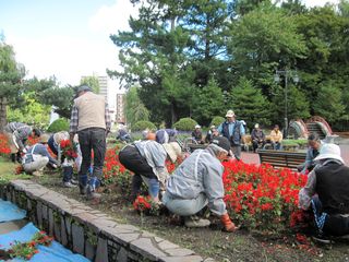 常磐公園ガーデンボランティア_2013_09_26