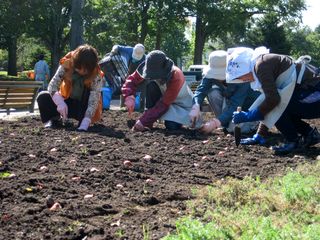 常磐公園ガーデンボランティア_2013_10_03