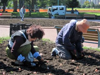 常磐公園ガーデンボランティア_2013_10_03