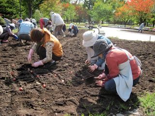 常磐公園ガーデンボランティア_2013_10_03