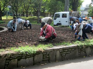 常磐公園ガーデンボランティア_2013_10_03