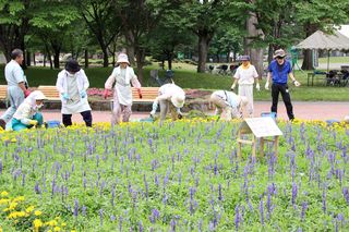 gardenvolunteer_20130711_02.jpg