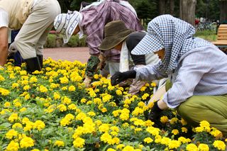 gardenvolunteer_20130711_03.jpg