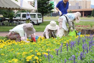 gardenvolunteer_20130711_05.jpg