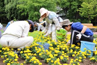 gardenvolunteer_20130711_06.jpg