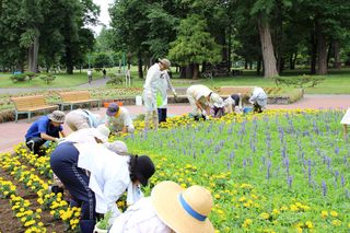 gardenvolunteer_20130711_07.jpg