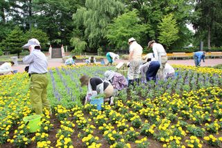 gardenvolunteer_20130711_08.jpg