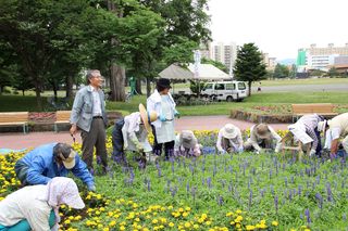 gardenvolunteer_20130711_10.jpg