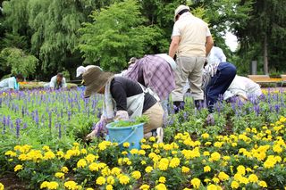 gardenvolunteer_20130711_13.jpg