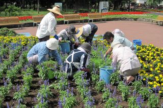 gardenvolunteer_20130711_14.jpg