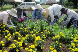 gardenvolunteer_20130711_15.jpg