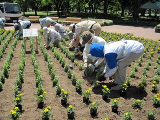 tokiwa_flower_2013_06_13_006.jpg