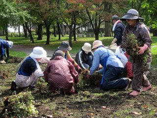 tokiwa_gb_2014_09_24_007.jpg