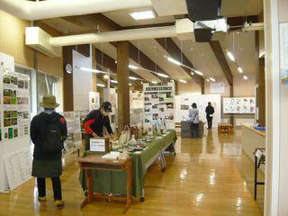 arashiyama_shinryoku_info_2024_001.jpg