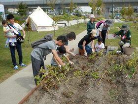 autumn_garden_info_2019_002.jpg