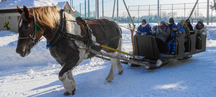 horse_show_winter_info_2019_001.jpg