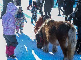 horse_show_winter_info_2019_002.jpg