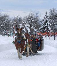 horse_show_winter_info_2019_003.jpg