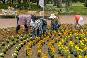 tokiwa_gb_2021_info_002.jpg