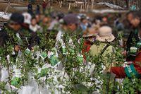 yasouen_open_2019_event_002.jpg