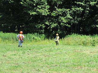 2025_07_10kitanomori_002.jpg