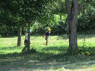 2025_07_10kitanomori_003.jpg
