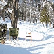 嵐山入口（2026.1.29）