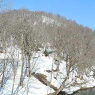 嵐山（2026.3.26）