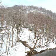 春　近づく（2026.3.19）