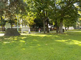 2026_09_26nihonyubin_003.jpg